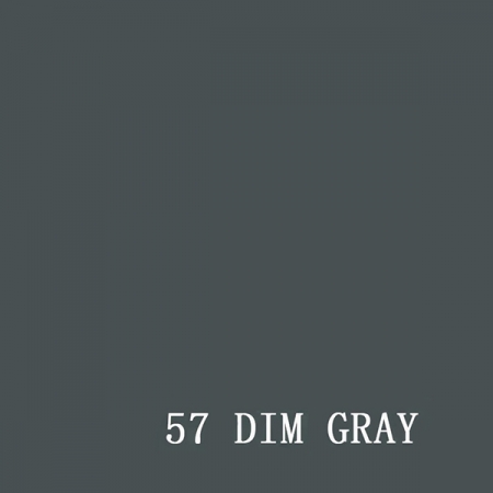 Visico Dim Gray 57 2.7x10m papirna pozadina